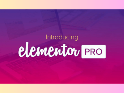 Elementor pro